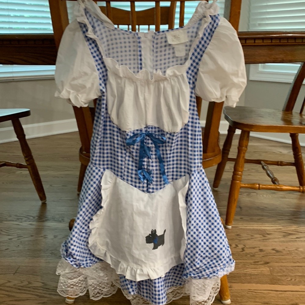 Dorothy Wizard of Oz costume